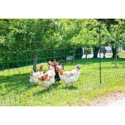 New Geflügelnetz PoultryNet Doppelspitze 106 cm m grün
