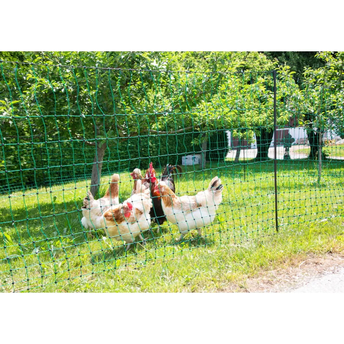 New Geflügelnetz PoultryNet Doppelspitze 106 cm m grün