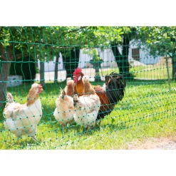 New Geflügelnetz PoultryNet Doppelspitze 106 cm m grün