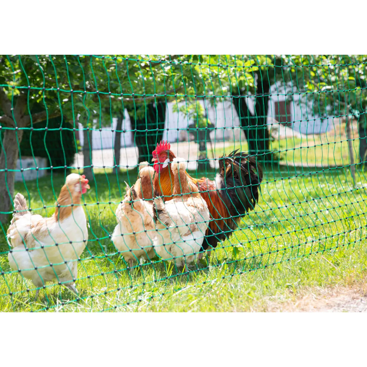 New Geflügelnetz PoultryNet Doppelspitze 106 cm m grün