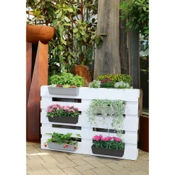 Online Geli Pflanzgefäß Easy 34 x 14 cm betonfarben hell