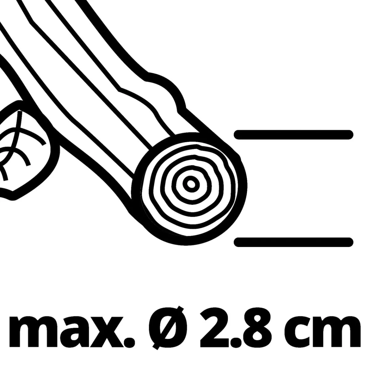 Best Einhell GE-LS 18 Li-Solo Akku-Astschere