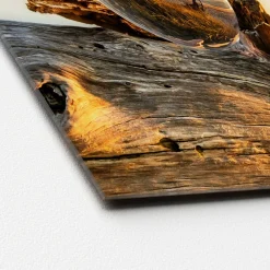 Hot Pro-Art Glas-Art Drop On Wood 50 x 50 Glasbild