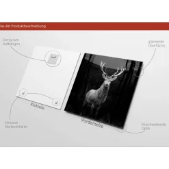 New Pro-Art Glas-Art Grey Deer Head 20 x 20 Glasbild