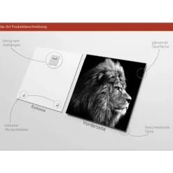 Pro-Art Glas-Art Grey Lion Head 20 x 20 Glasbild