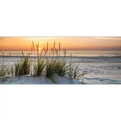 Outlet Pro-Art Glas-Art Lonely Dune 50 x 125 cm Glasbild