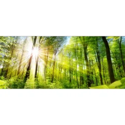 Discount Pro-Art Glas-Art Towards The Sun 50 x 125 cm Glasbild