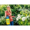 Best Gloria Drucksprüher Prima 3 3 L inkl Messing-Lanze