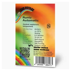 Hot Bud Voyage Hanfsamen BudVoyage Runtz Auto, 3 Samen