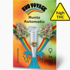 Hot Bud Voyage Hanfsamen BudVoyage Runtz Auto, 3 Samen