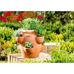 Haveson Erdbeer- und Kräutertopf Giardino