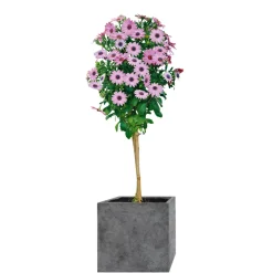 Online Haveson Pflanengefäßserie Wiped Grey