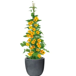 Outlet Haveson Topf Granite Durchmesser 35xH 34 cm