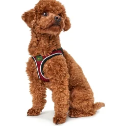 Best Hunter Hundegeschirr Hilo Comfort rot Größe S-M