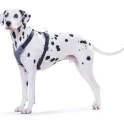 Sale Hunter Hundegeschirr Neopren schwarz-grau Größe XS