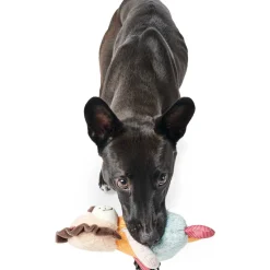 Discount Hunter Hundespielzeug Muli Löwe mehrfarbig 18 cm