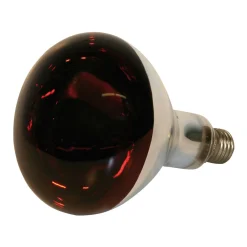 Outlet Infrarotlampe 150 Watt Hartglas rot