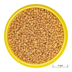 Online JBL PRONOVO CICHLID GRANO S 100ml CLICK