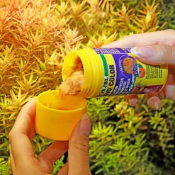 Outlet JBL PRONOVO COLOR FLAKES M 100ml