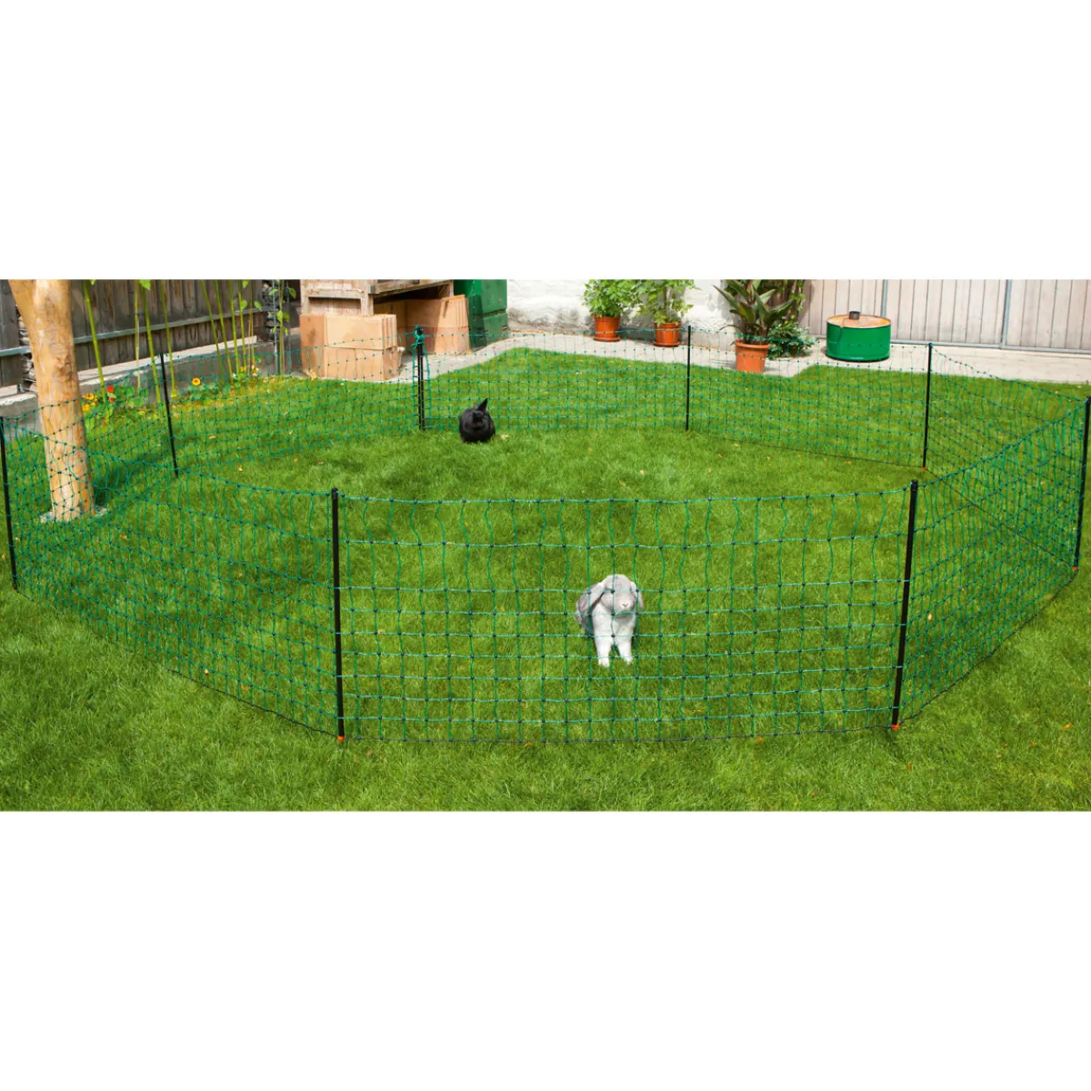 Outlet Kaninchennetz 12 m 65 cm Einzelspitze grün