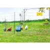 Hot Kerbl Geflügelnetz-Set 50 m