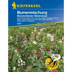 Best Kiepenkerl Blumenmischung Münsterländer Blütenmeer