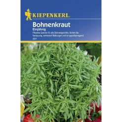 Outlet Kiepenkerl Bohnenkraut einjährig