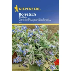 Online Kiepenkerl Borretsch einjährig