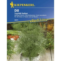 Online Kiepenkerl Dill Topfdill Delikat Profi-Line