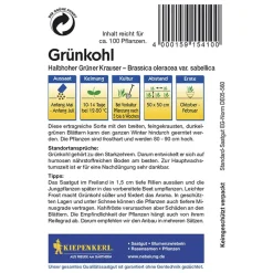 Best Kiepenkerl Grünkohl Halbhoher grüner krauser