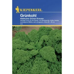 Best Kiepenkerl Grünkohl Halbhoher grüner krauser