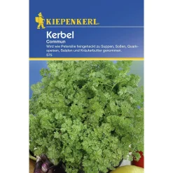 Online Kiepenkerl Kerbel Commun einjährig