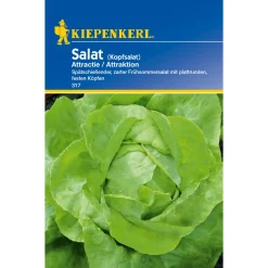 Sale Kiepenkerl Kopfsalat Attractie
