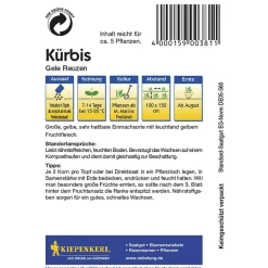 Sale Kiepenkerl Kürbis Gele Reuzen Gelber Zentner