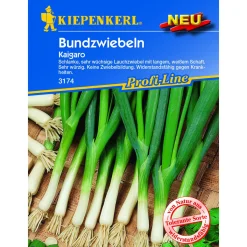 Hot Kiepenkerl Lauchzwiebel Kaigaro