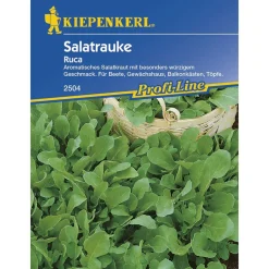 New Kiepenkerl Salatrauke Ruca Profi-Line