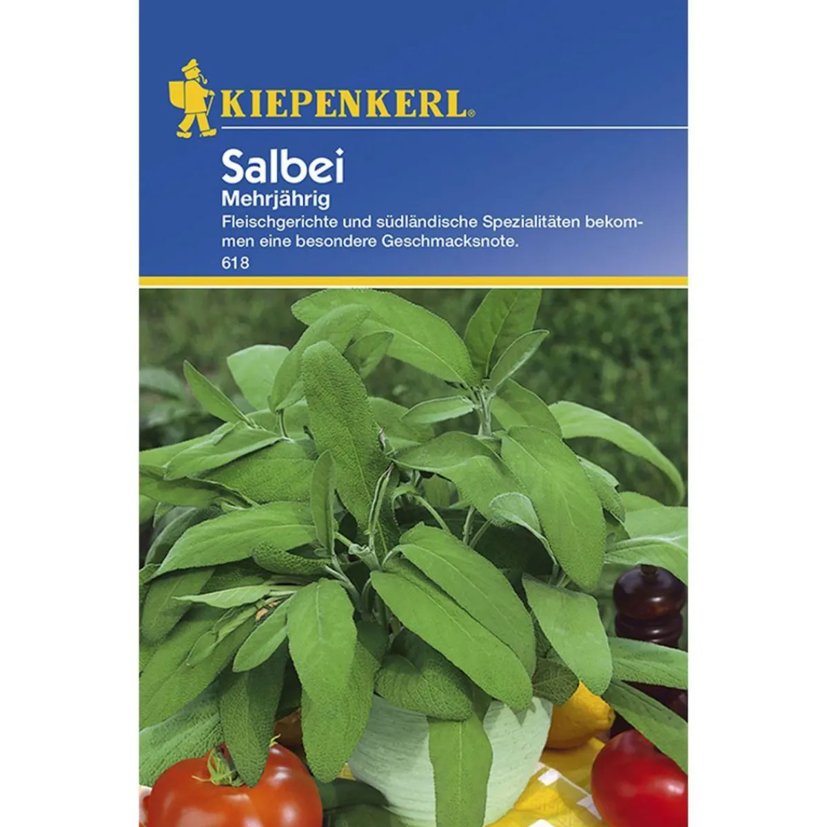 New Kiepenkerl Salbei mehrjährig