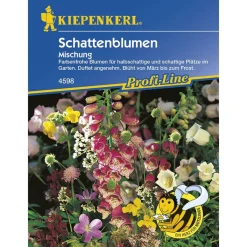 Outlet Kiepenkerl Schattenblumen Mischung Profi-Line