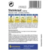 Online Kiepenkerl Steinkraut Alyssum weiß