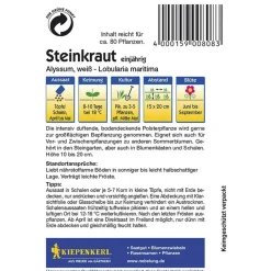 Online Kiepenkerl Steinkraut Alyssum weiß