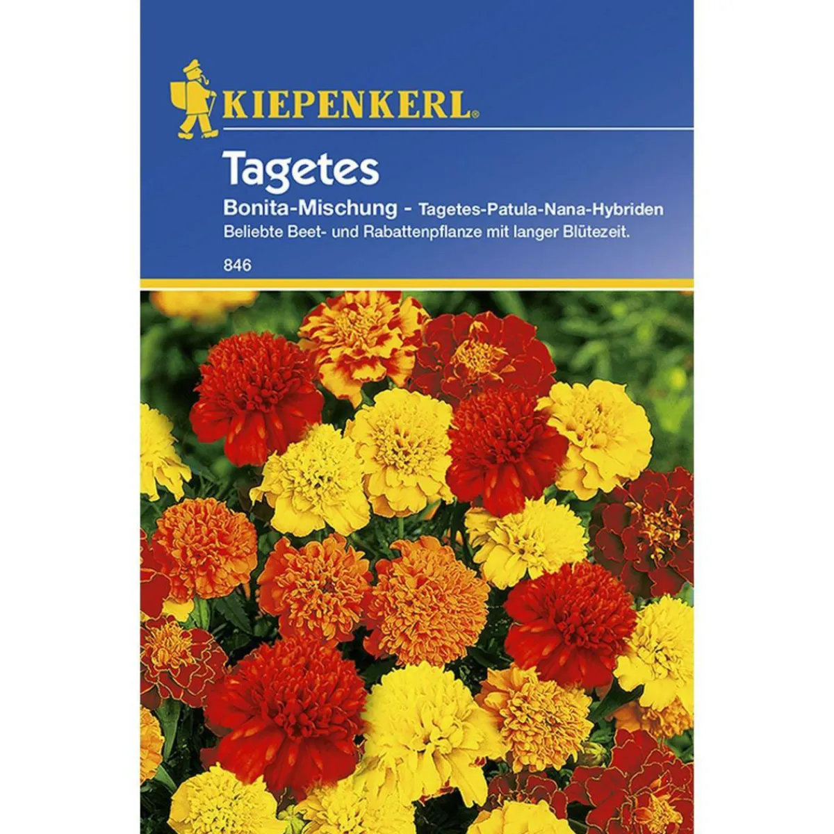 Clearance Kiepenkerl Tagetes Bonita-Mischung