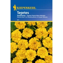 Outlet Kiepenkerl Tagetes Goldzwerg