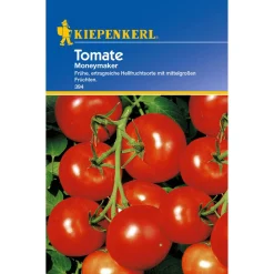 Best Kiepenkerl Tomate Moneymaker