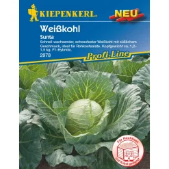 Sale Kiepenkerl Weißkohl Sunta