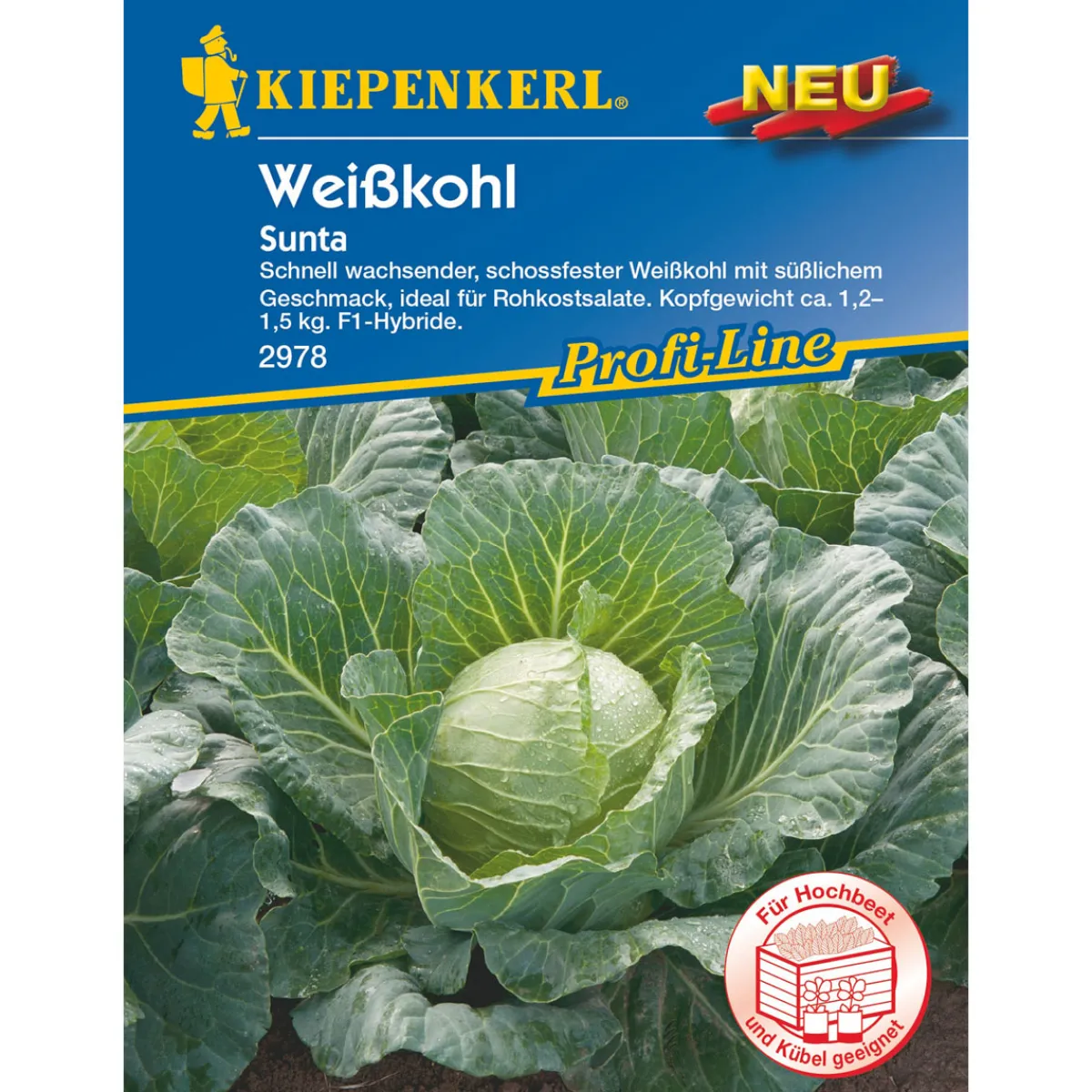 Sale Kiepenkerl Weißkohl Sunta