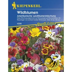 Online Kiepenkerl Wildblumen amerikanische Landblumenmischung Profi-Line