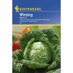 Outlet Kiepenkerl Wirsing Vertus 2