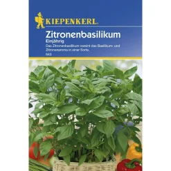 Hot Kiepenkerl Zitronenbasilikum einjährig
