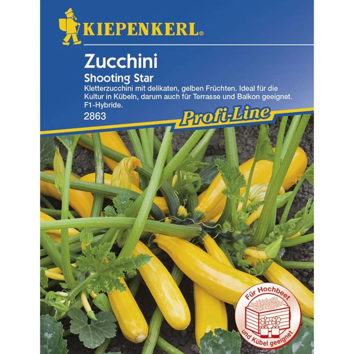 New Kiepenkerl Zucchini Shooting Star