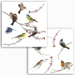 Online Komar Fenstersticker Birds 31x31 cm